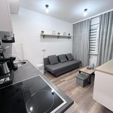 Near The Castle * Malbork