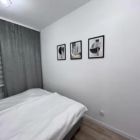 Near The Castle Malbork