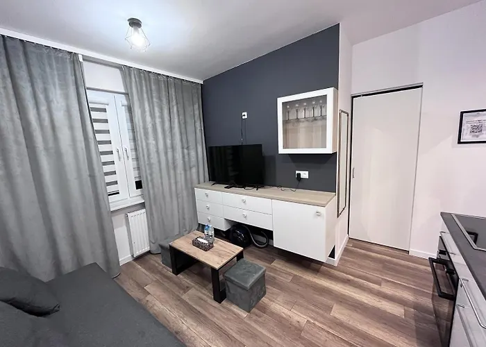 Near The Castle * Malbork