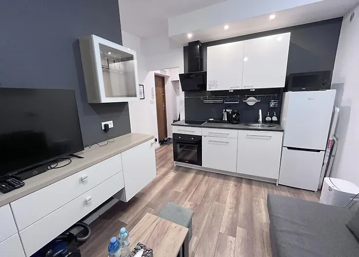 Apartment Near The Castle *