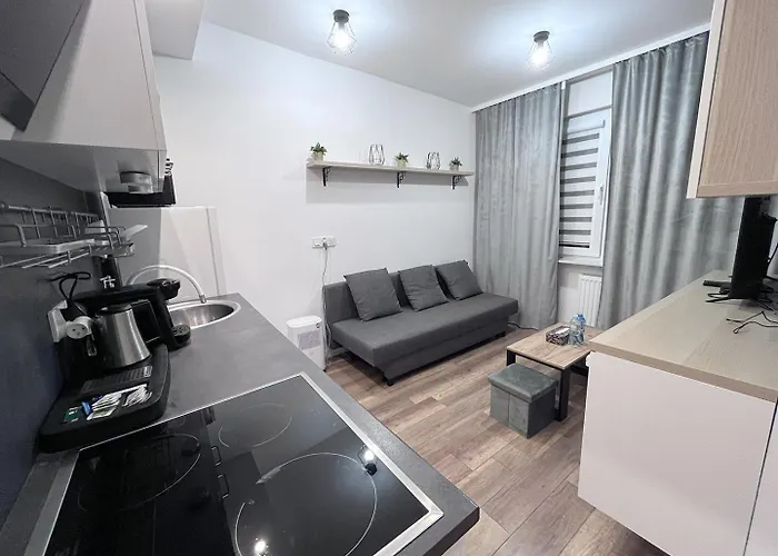 Near The Castle * Malbork