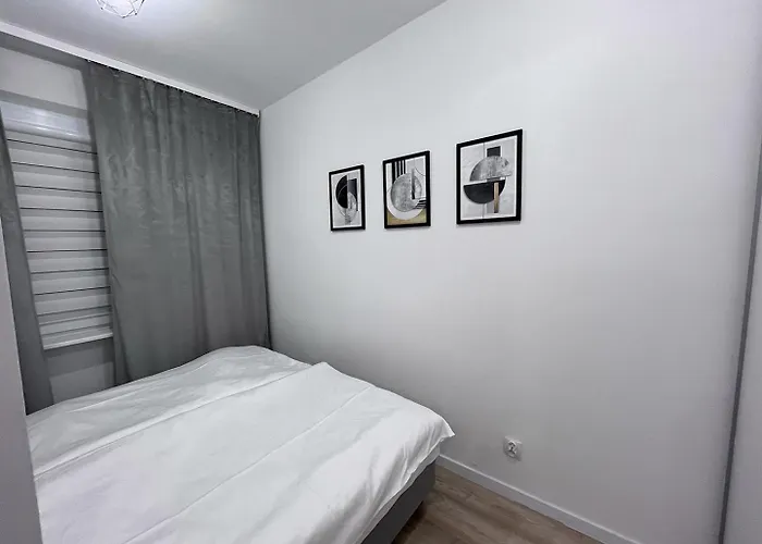 Near The Castle Malbork