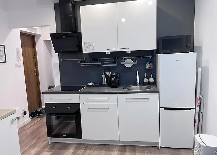 Near The Castle Apartment Malbork